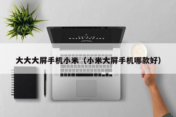 大大大屏手机小米(小米大屏手机哪款好)