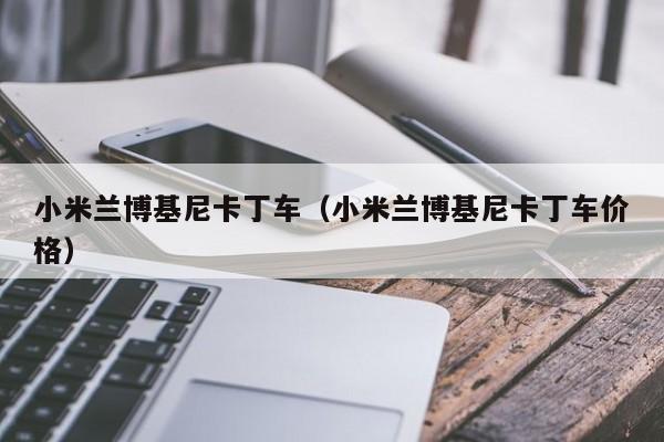 小米兰博基尼卡丁车(小米兰博基尼卡丁车价格)