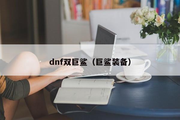 dnf双巨鲨(巨鲨装备)