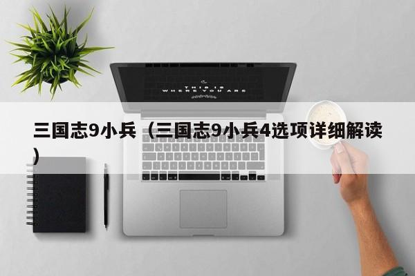 三国志9小兵(三国志9小兵4选项详细解读)