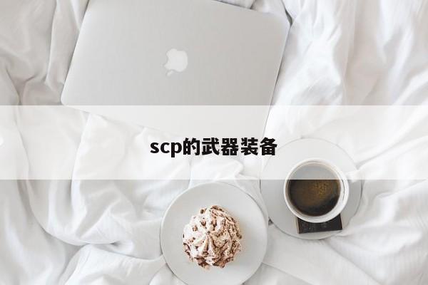 scp的武器装备
