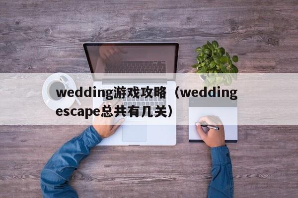 wedding游戏攻略(wedding escape总共有几关)