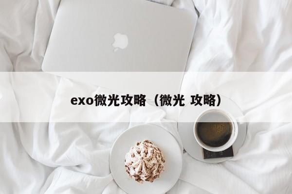 exo微光攻略(微光 攻略)