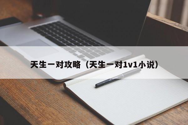 天生一对攻略(天生一对1v1小说)