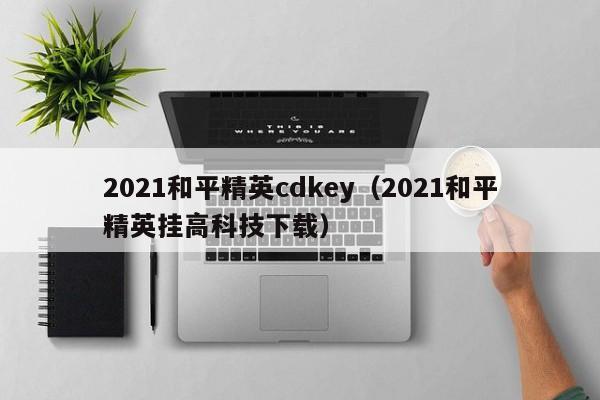 2021和平精英cdkey(2021和平精英挂高科技下载)