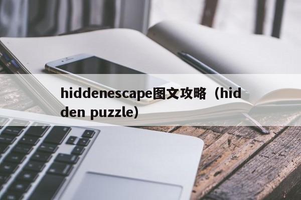 hiddenescape图文攻略(hidden puzzle)