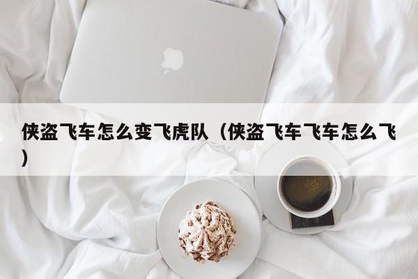侠盗飞车怎么变飞虎队(侠盗飞车飞车怎么飞)