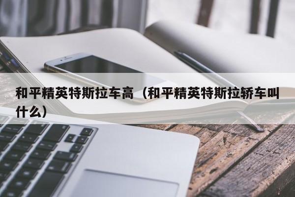和平精英特斯拉车高(和平精英特斯拉轿车叫什么)