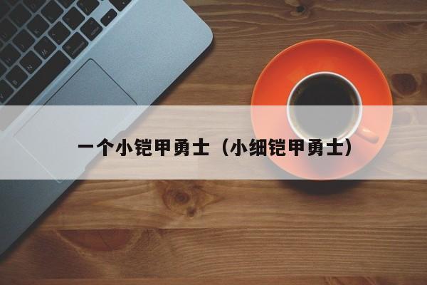 一个小铠甲勇士(小细铠甲勇士)