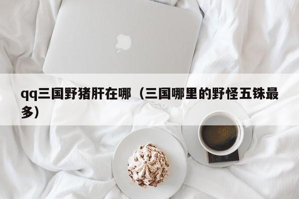 qq三国野猪肝在哪(三国哪里的野怪五铢最多)