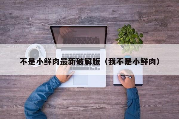 不是小鲜肉最新破解版(我不是小鲜肉)