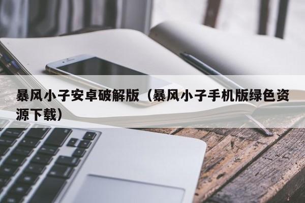 暴风小子安卓破解版(暴风小子手机版绿色资源下载)