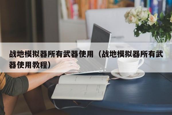 战地模拟器所有武器使用(战地模拟器所有武器使用教程)