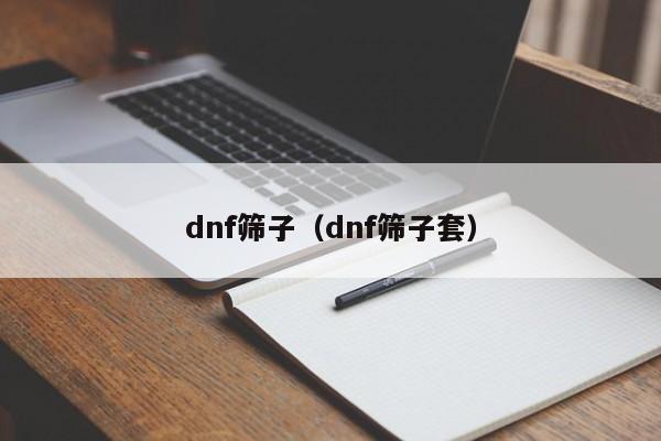 dnf筛子（dnf筛子套）